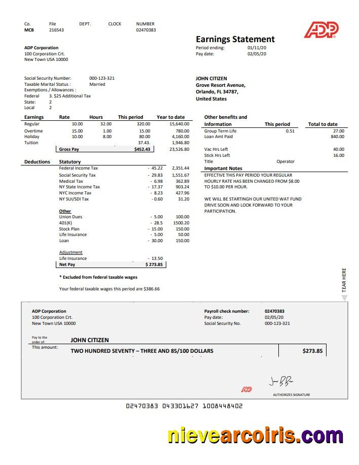 USA ADP Earnings statement in Word and PDF format